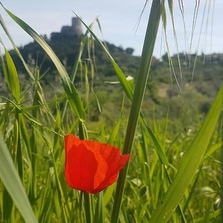 Ferienwohnung La Casina Di Nonna Giulia Castiglione dʼOrcia Exterior foto