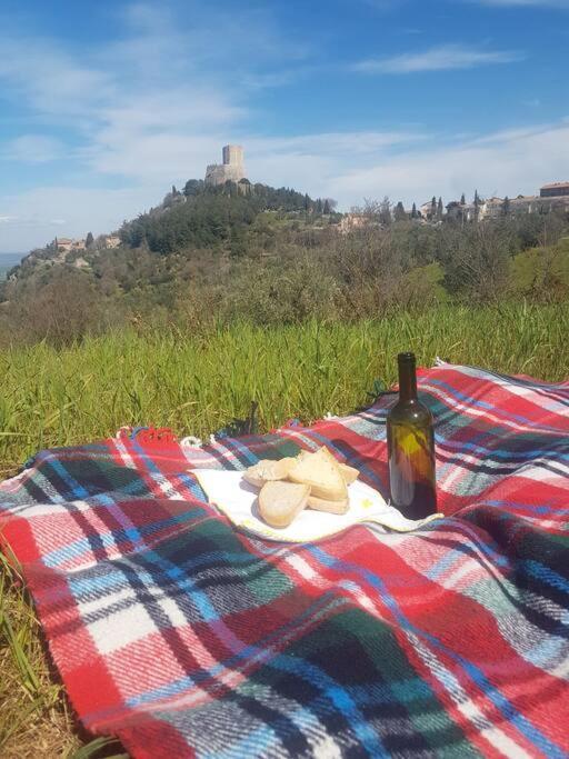 Ferienwohnung La Casina Di Nonna Giulia Castiglione dʼOrcia Exterior foto