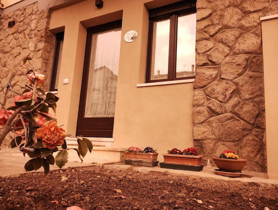 Ferienwohnung La Casina Di Nonna Giulia Castiglione dʼOrcia Exterior foto