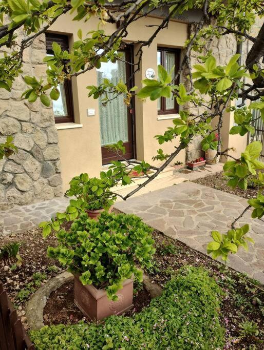 Ferienwohnung La Casina Di Nonna Giulia Castiglione dʼOrcia Exterior foto