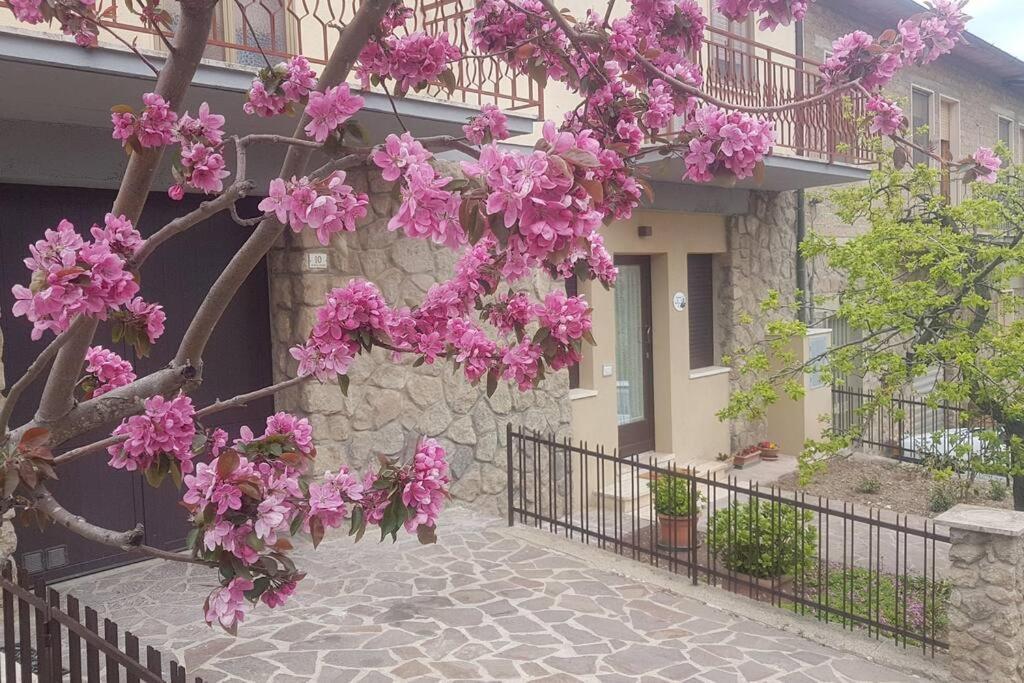 Ferienwohnung La Casina Di Nonna Giulia Castiglione dʼOrcia Exterior foto